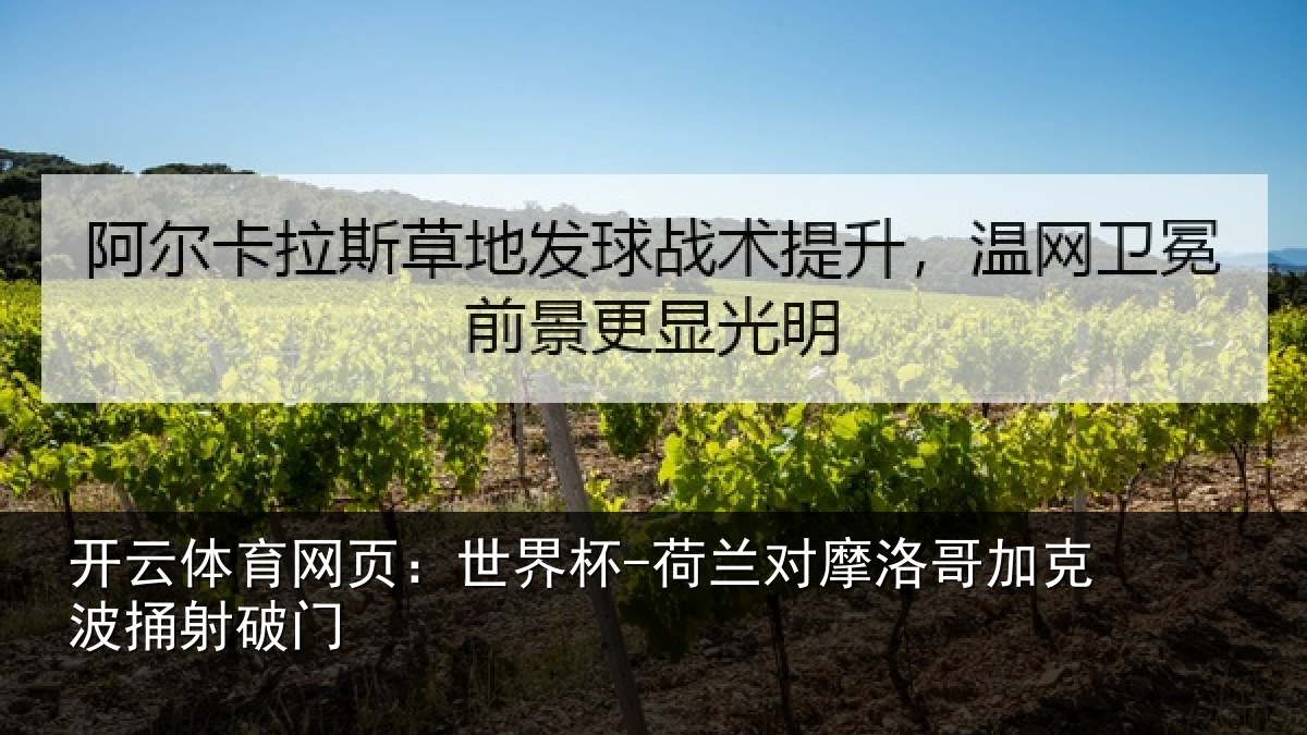 开云体育网页：世界杯-荷兰对摩洛哥加克波捅射破门