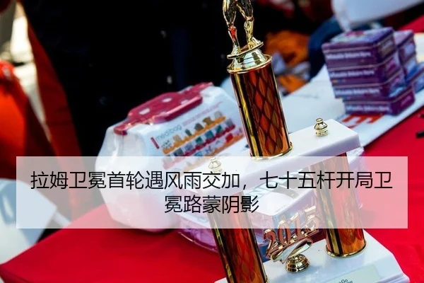 la-mu-wei-mian-shou-lun-yu-feng-yu-jiao-jia-qi-shi-wu-gan-kai-ju-wei-mian-lu-meng-yin-ying-3-111.jpg
