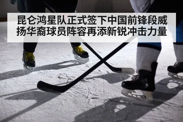 ice hockey player action