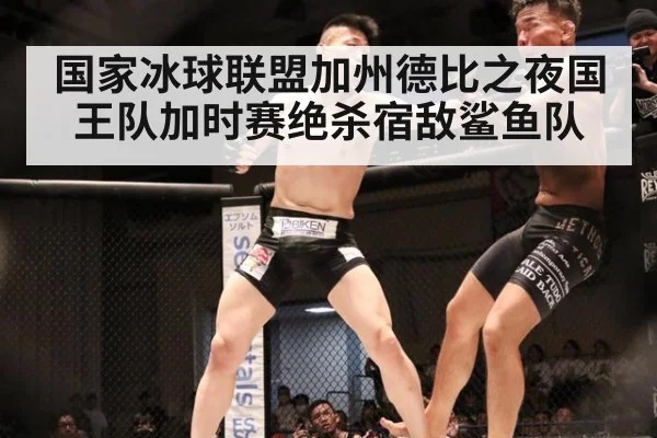 国家冰球联盟加州德比之夜国王队加时赛绝杀宿敌鲨鱼队