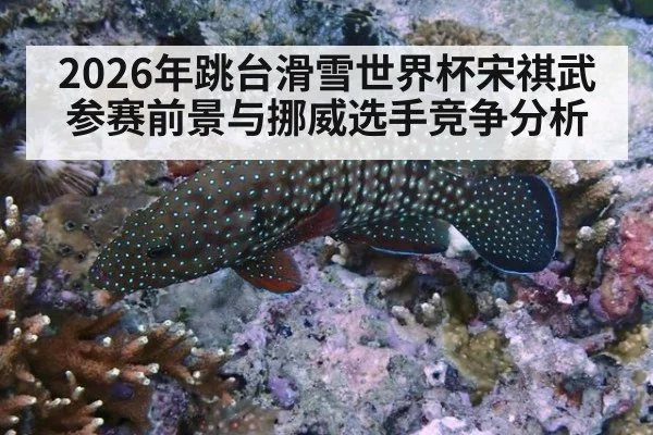 2026年跳台滑雪世界杯宋祺武参赛前景与挪威选手竞争分析
